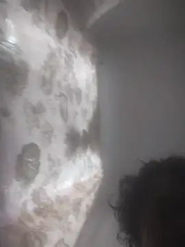 correcaminos2 Webcam show