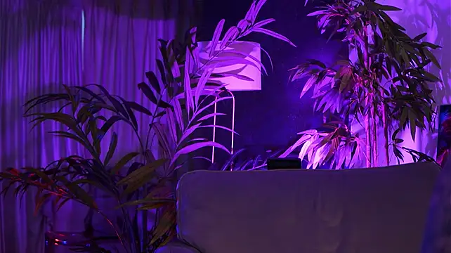 HotBustyBabeX Live XXX Chat