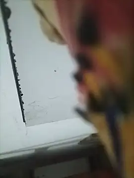Živý XXX chat Pitercom