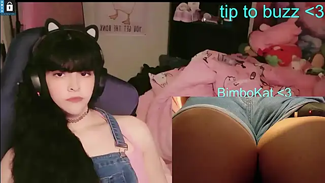 Chat XXX en directo de BimboCat