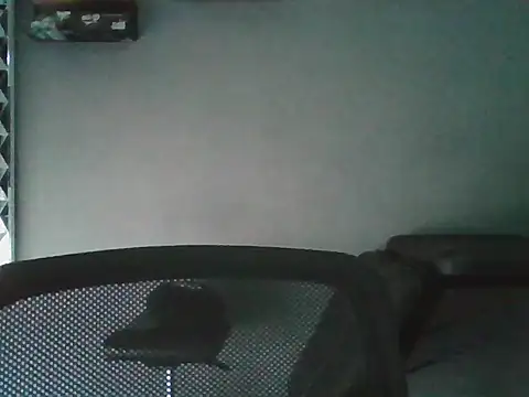 Adancarter élő XXX-chatje