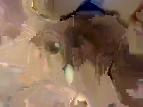 Chat XXX ao vivo de Chelsea101