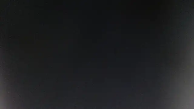 ROOKERT Live XXX-Chat