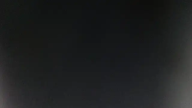 ROOKERT Live XXX-Chat