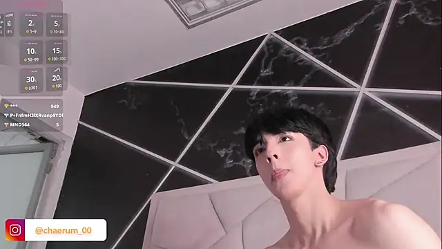 AerumChae Webcam show