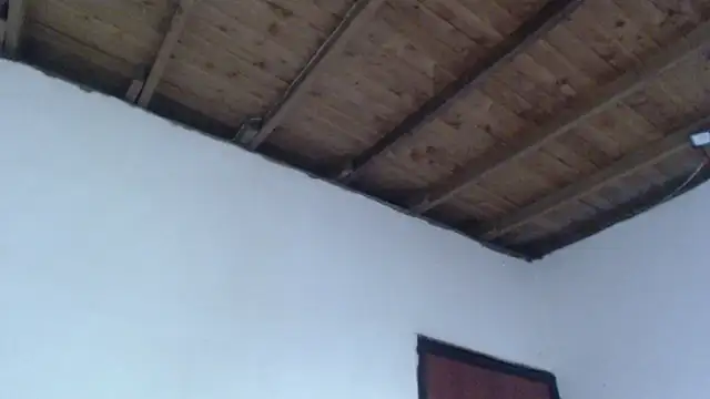 ROOKERT – Naživo XXX chat