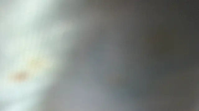 ROOKERT Live XXX-chat