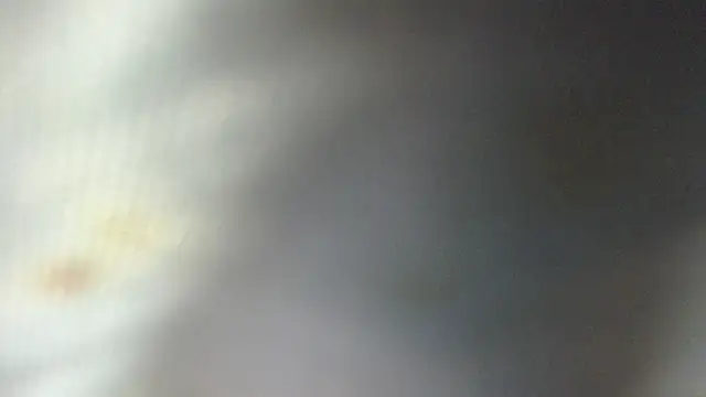ROOKERT Live XXX Chat
