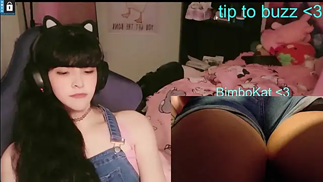Chat +18 de BimboCat ao vivo