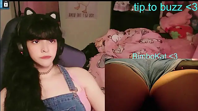 Chat XXX Live BimboCat