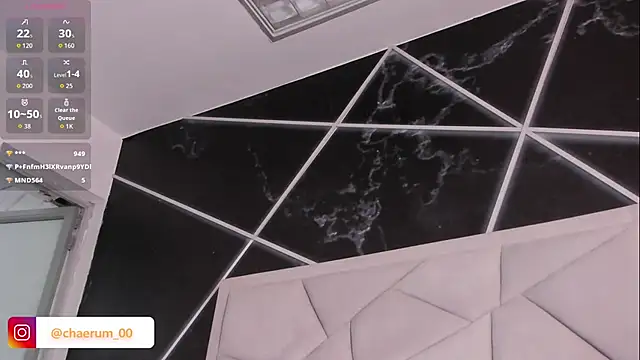 צ'אט XXX בשידור חי של AerumChae