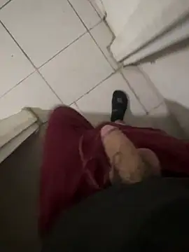 Aaaleman Webcam show