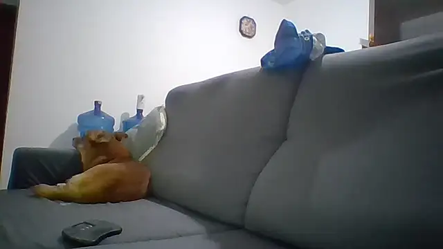 Chat XXX ao vivo de fabiogambi
