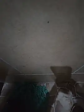 Jjota2026 webcam show