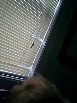 JemJensen30 Live XXX-Chat