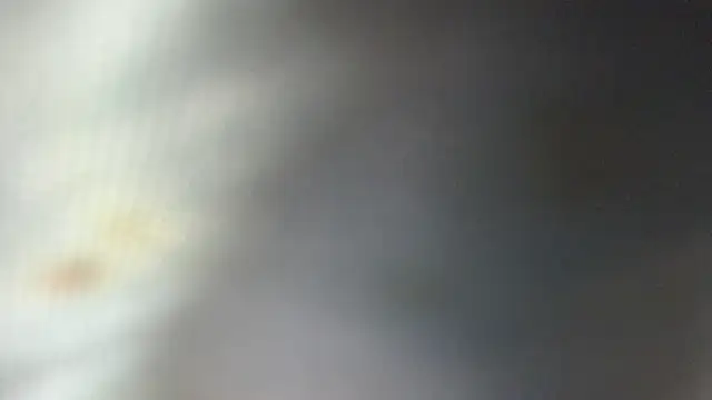 Chat XXX ao vivo de ROOKERT