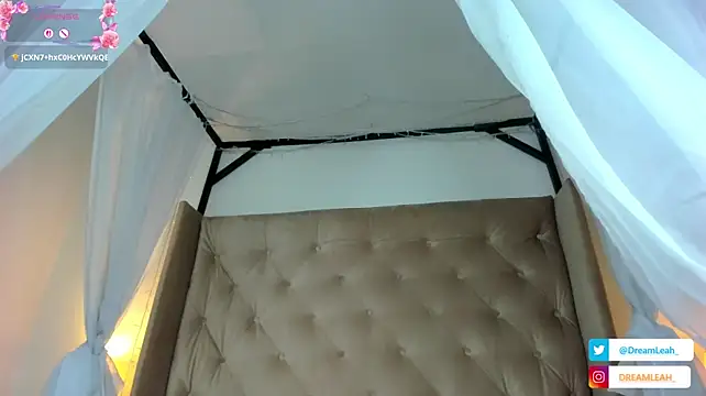 dreamleah_ 现场XXX聊天