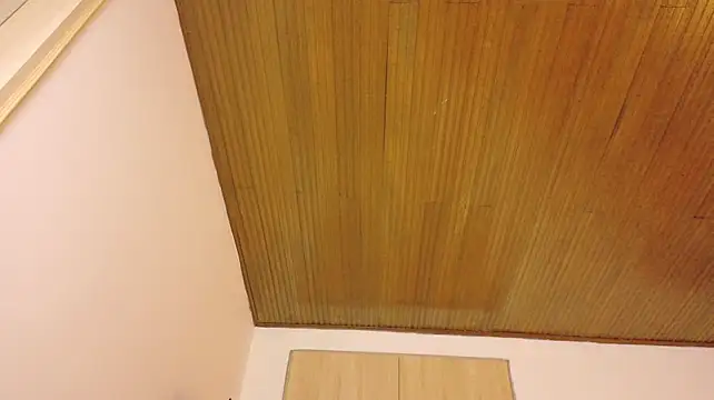 Saliee_ Adlı Modelin Canlı XXX Sohbeti