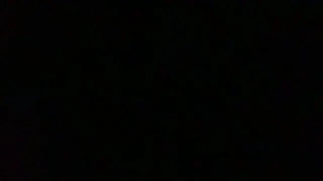 NuttyProfesirのウェブカメラショー