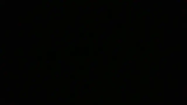 NuttyProfesirのウェブカメラショー
