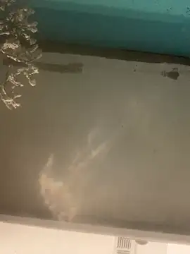 joeyslicks ওয়েবক্যাম শো