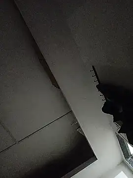 F4U Webcamshow