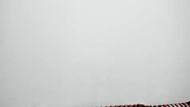 wenndywilliamss' Live XXX Chat