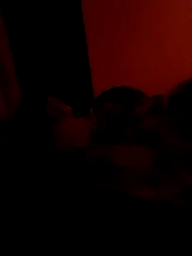 Lance17cmh Webcam show