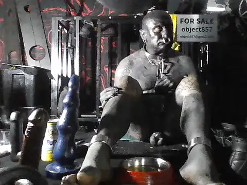 wormobject 라이브 XXX 채팅
