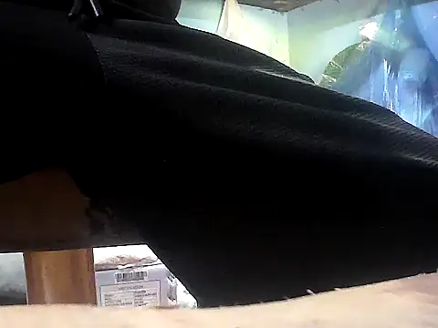 Czat XXX na żywo – Precumking1