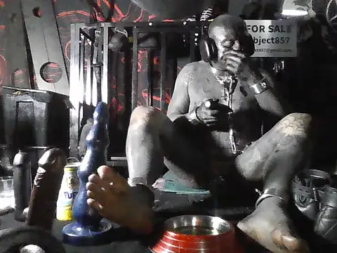 wormobject 라이브 XXX 채팅