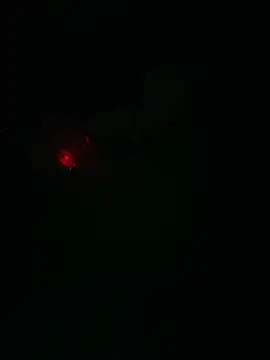 LilMissKaos Chat XXX live
