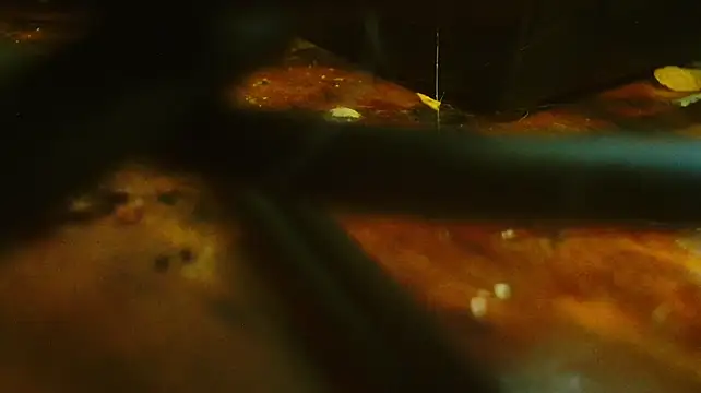 Онлайн чат XXX MrBigDickGooner