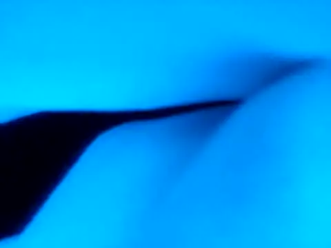 Blkstylion webcam show