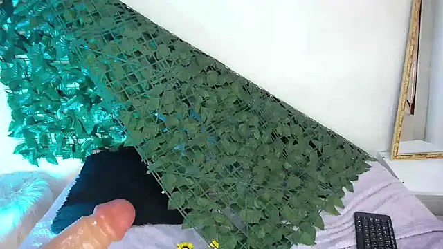 Chat +18 de ladymooncs ao vivo