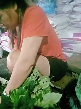 Elfledaa 现场XXX聊天