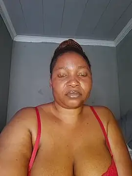 theplayfulmaid Webcam-Show