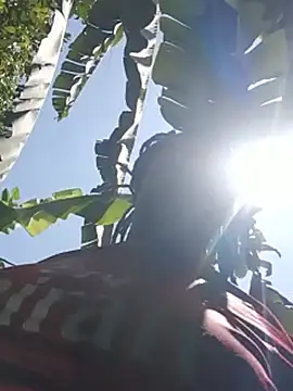 צ'אט XXX בשידור חי של holygrail001