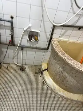 tiger-121 Show Webcam
