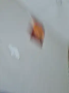 Kamdollie 现场XXX聊天