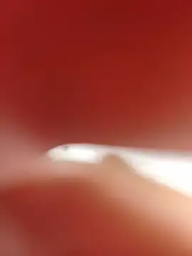 Nsrenn9 Webcam Show
