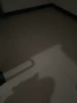 Chat +18 de MeimoDog ao vivo