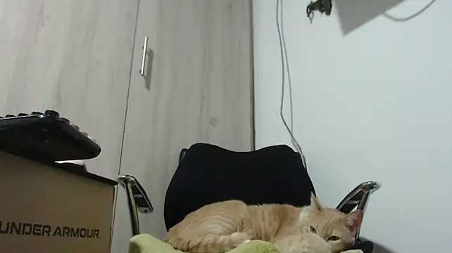 khawit_1's Live XXX Chat