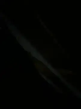 Show Webcam de zoujiayu2121