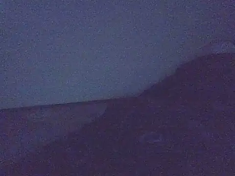 Онлайн чат XXX SurXperience