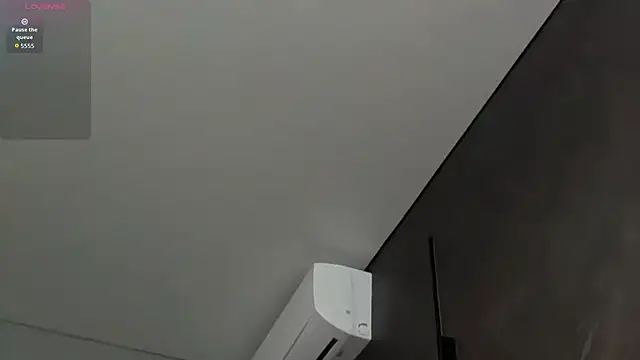 SweetPasssions 网络视讯表演
