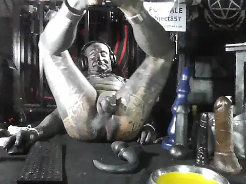 wormobject 라이브 XXX 채팅