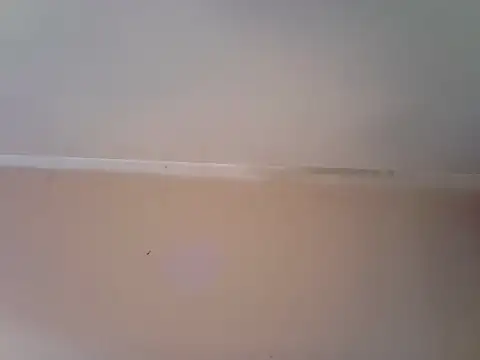 Sanyus8888 Pertunjukan Webcam