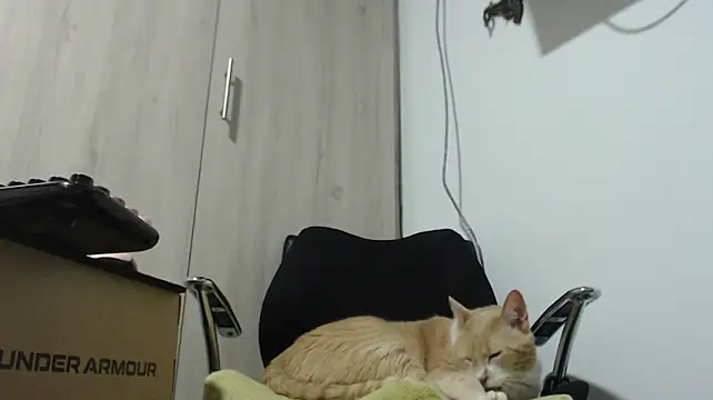 Chat +18 de khawit_1 ao vivo