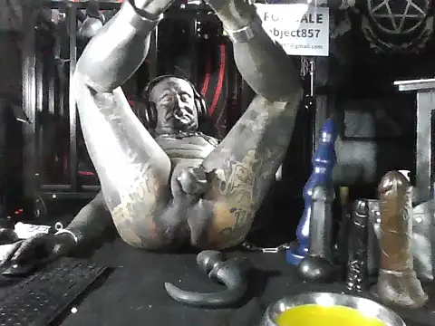 Chat XXX ao vivo de wormobject